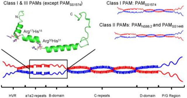 graphic file with name nihms-991308-f0001.jpg