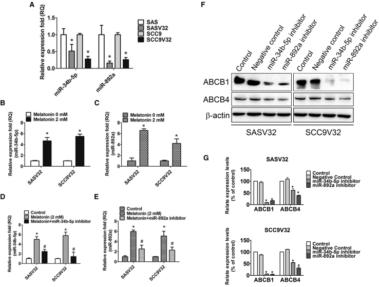 Figure 6