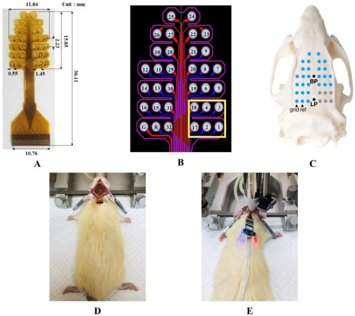 Figure 3