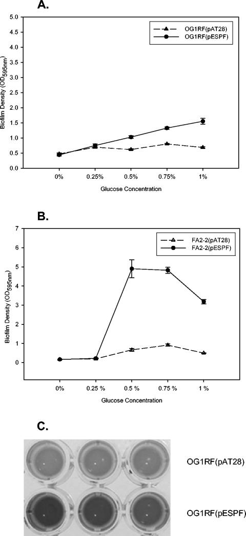 FIG. 1.