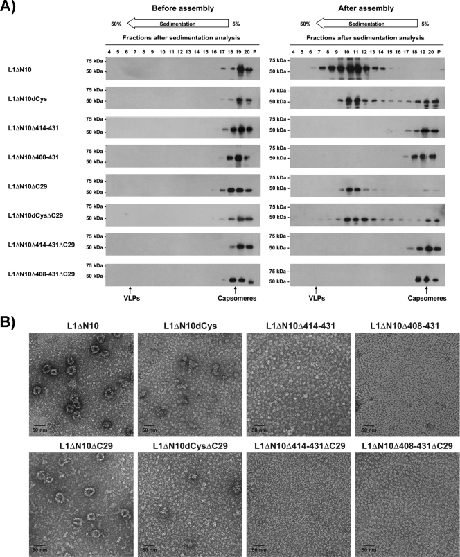 FIG. 6.