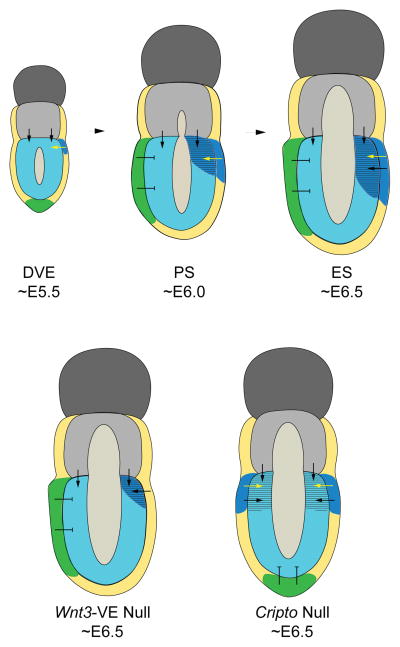 Fig. 5