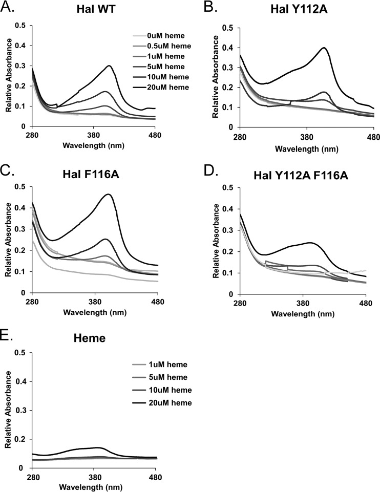 FIG 6