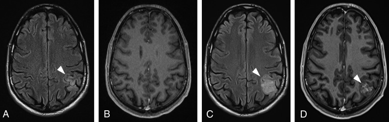 Fig 7.