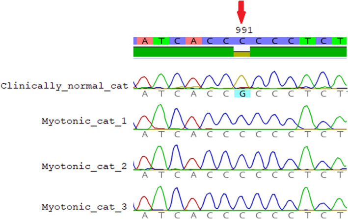 FIGURE 3