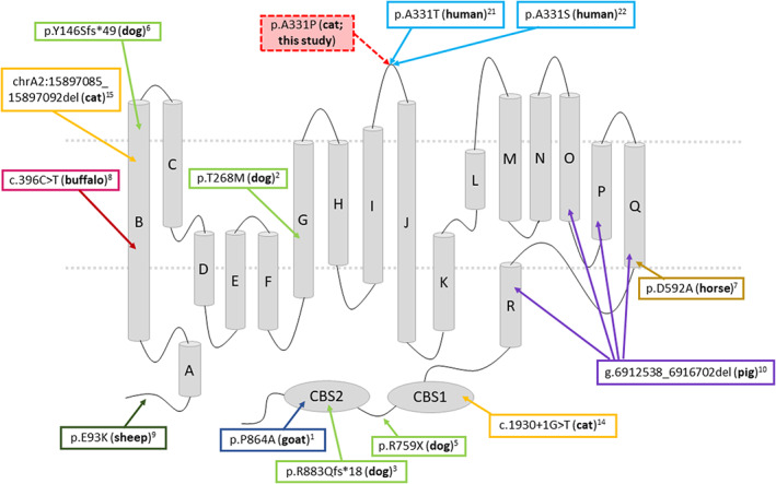 FIGURE 5