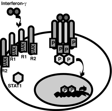 FIG. 6.