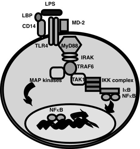 FIG. 1.