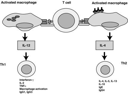 FIG. 3.