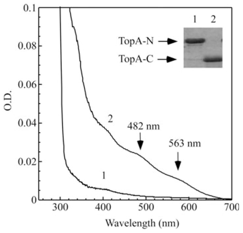 Fig. 2