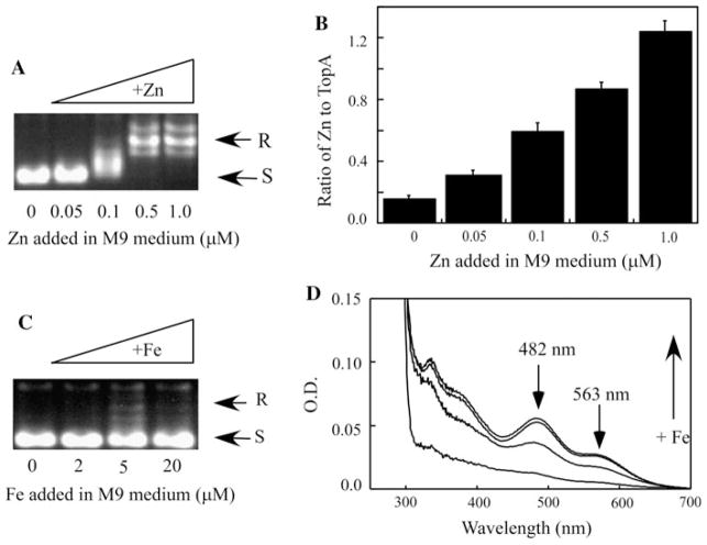 Fig. 4