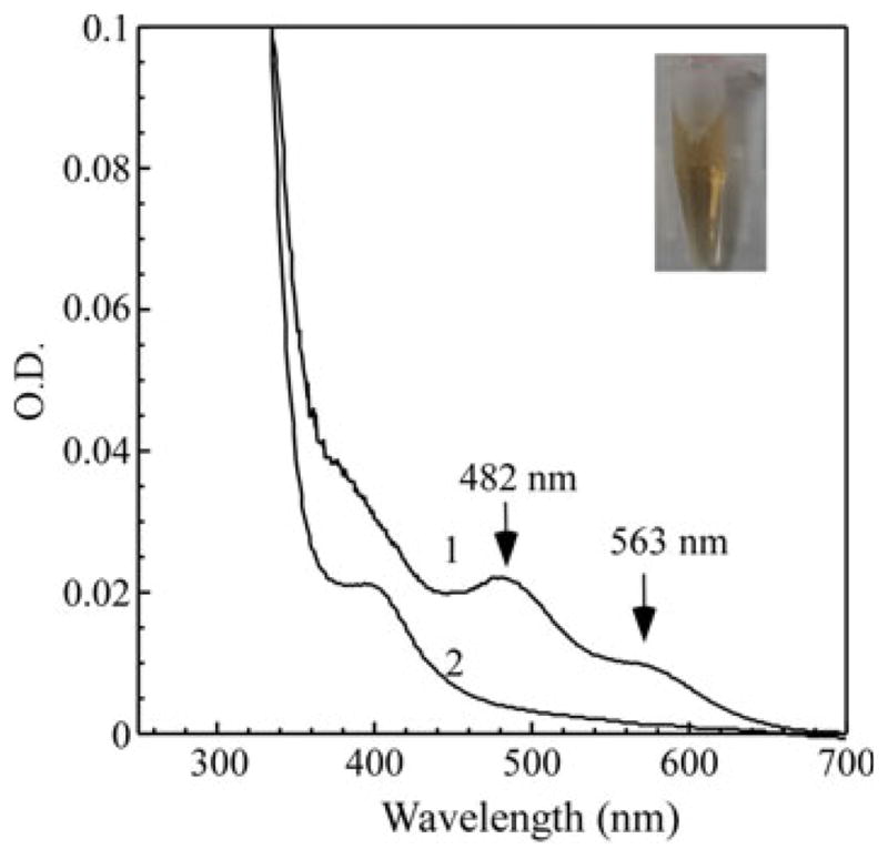 Fig. 1