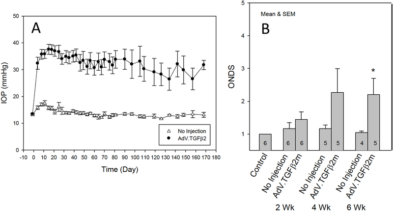 Figure 11.