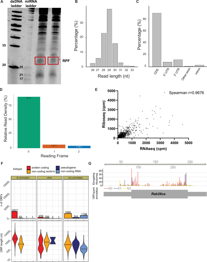 Figure 6—figure supplement 1.