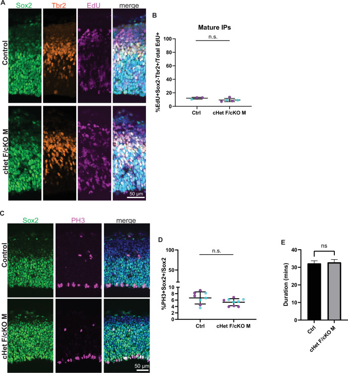 Figure 4—figure supplement 1.