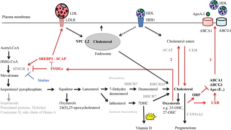 FIGURE 3