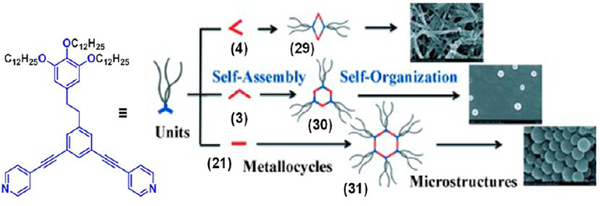 Figure 9.