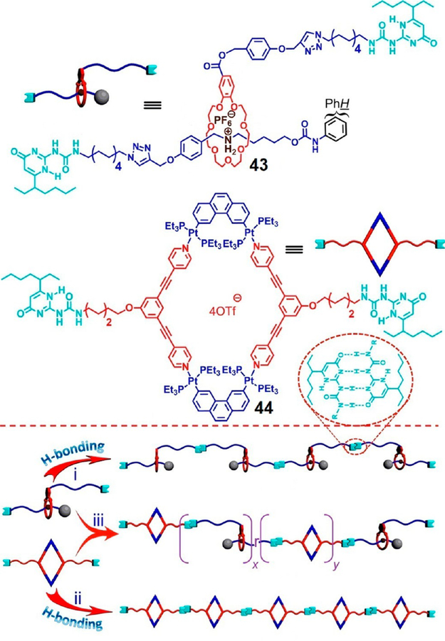 Figure 12.