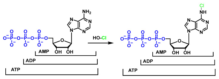 Figure 43