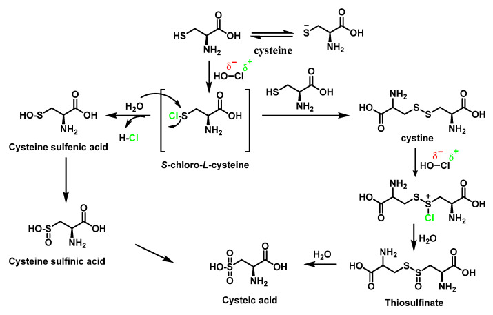 Figure 29