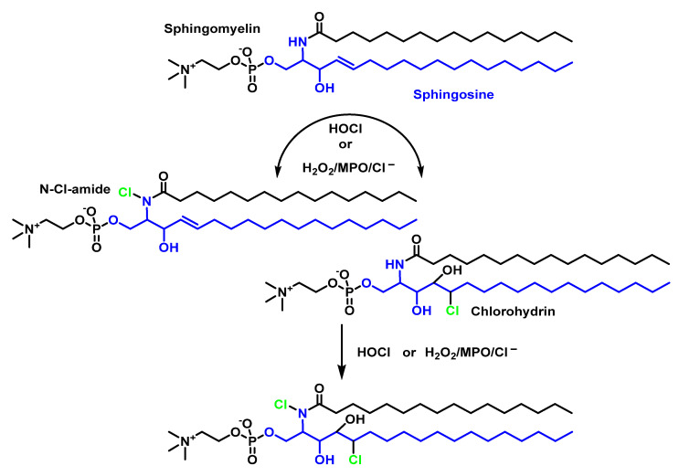 Figure 12