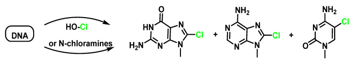 Figure 46