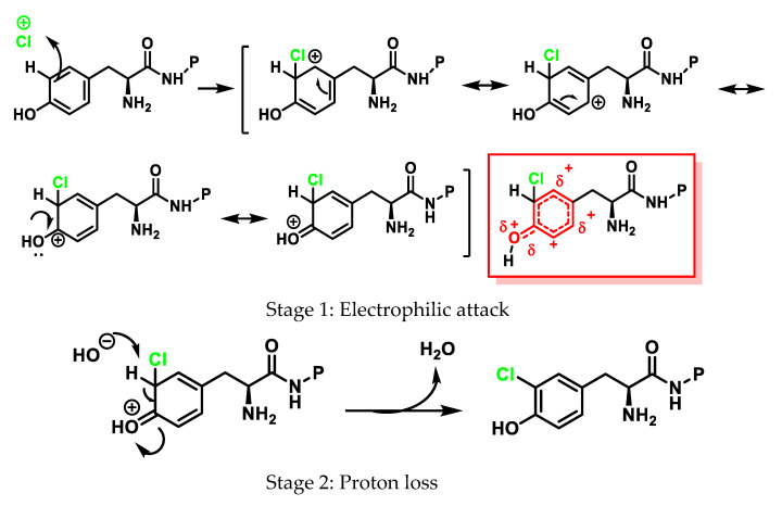 Figure 24