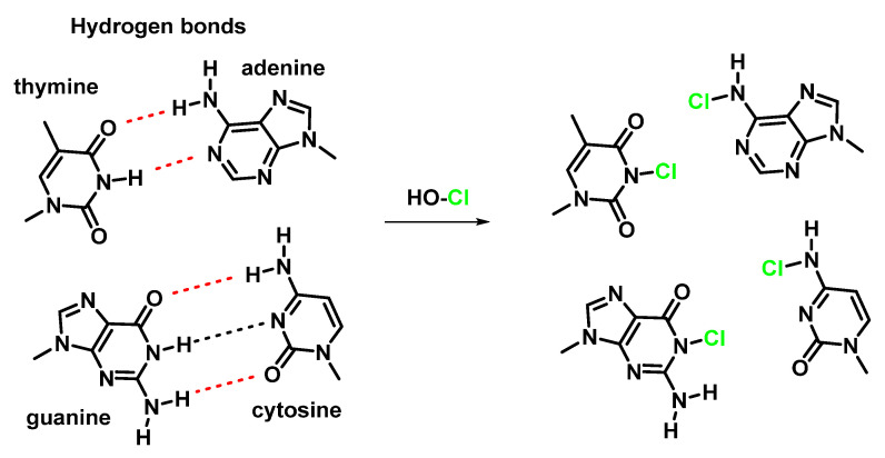 Figure 45