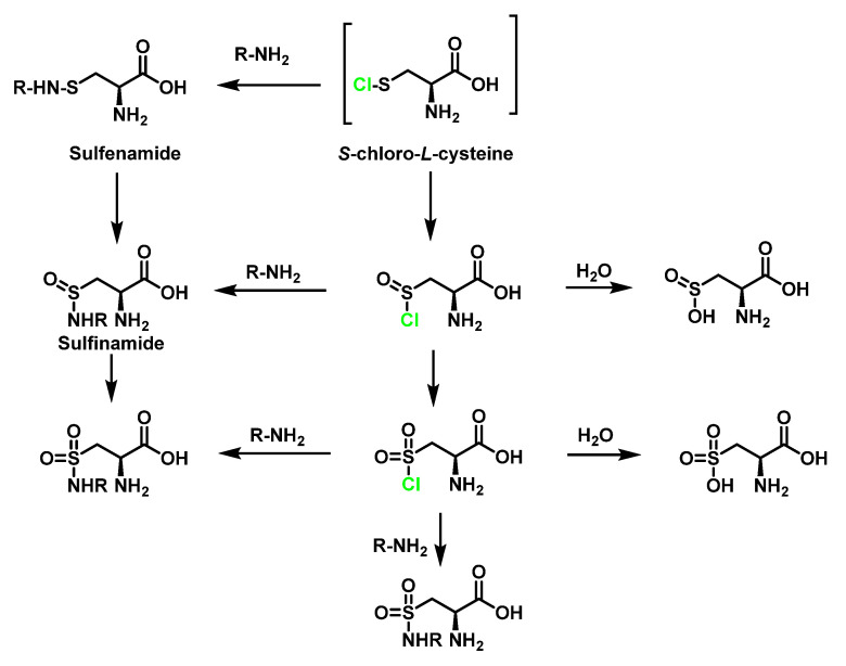 Figure 31