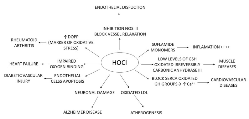 Figure 51