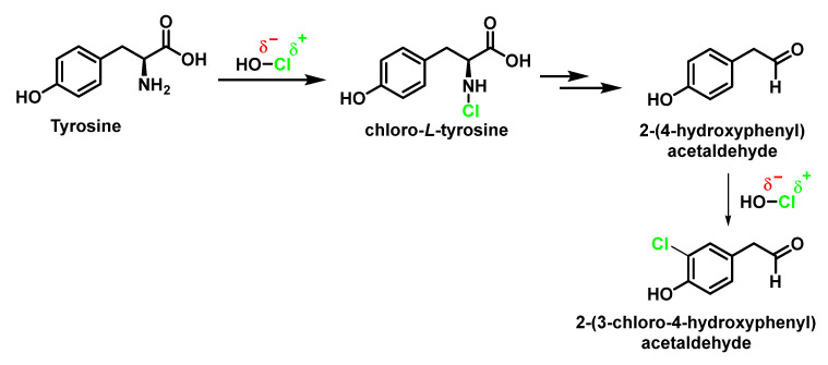 Figure 25