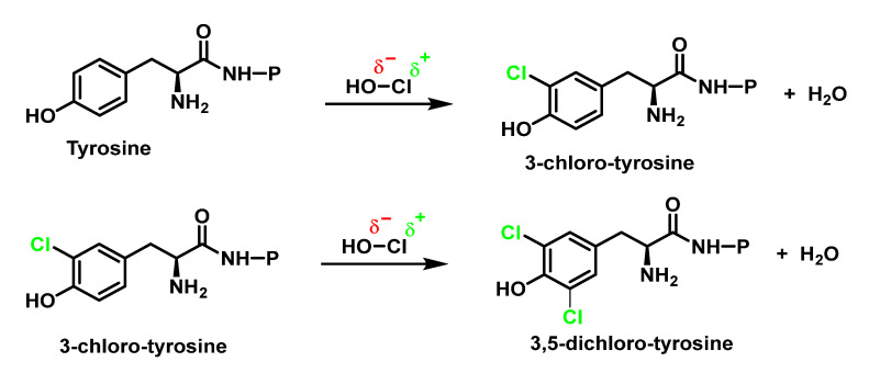 Figure 23