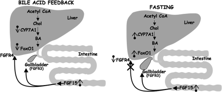 FIGURE 10.