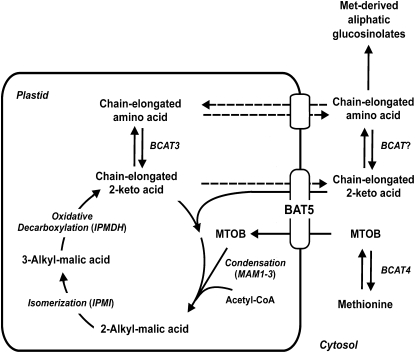 Figure 10.