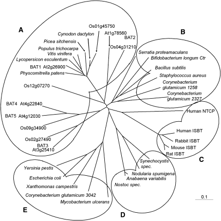 Figure 2.