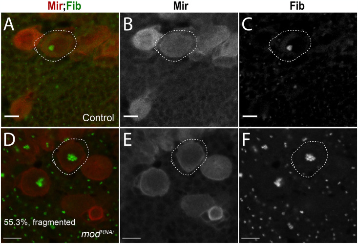 Fig 9