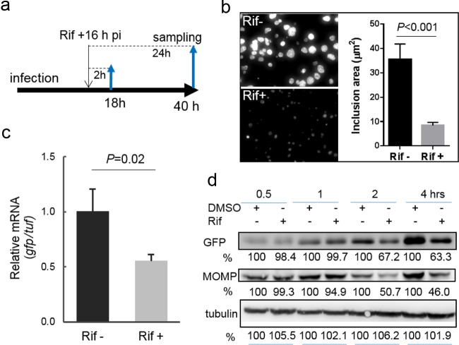 FIG 2