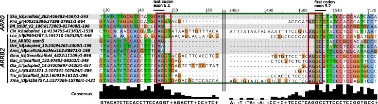 Fig. 11