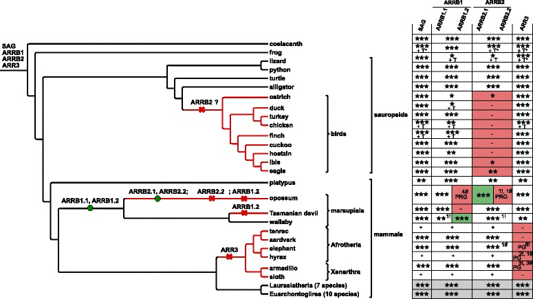 Fig. 8