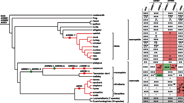 Fig. 8
