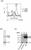 FIG. 7