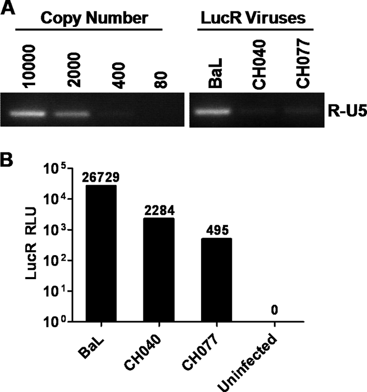 Fig 8