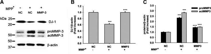 FIG. 8.