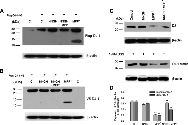 FIG. 7.