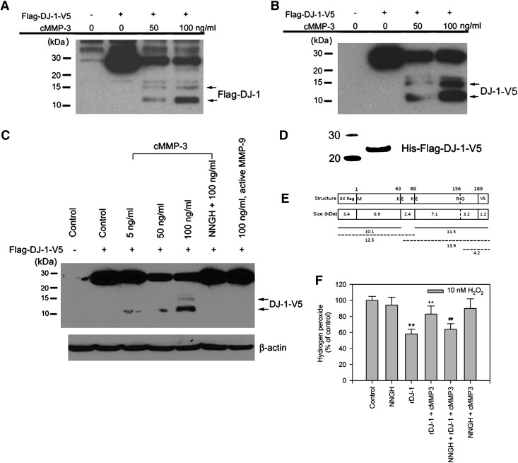 FIG. 6.