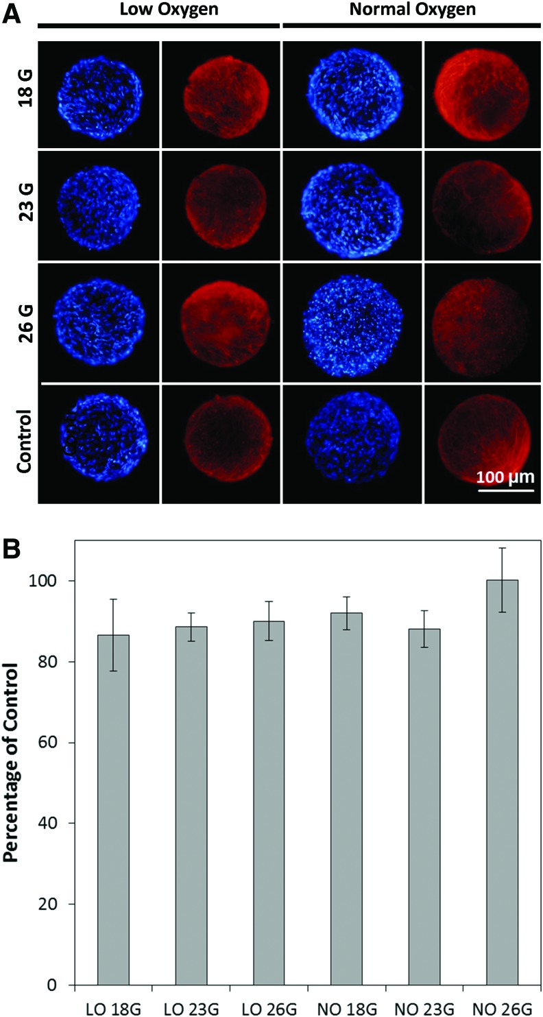 FIG. 6.