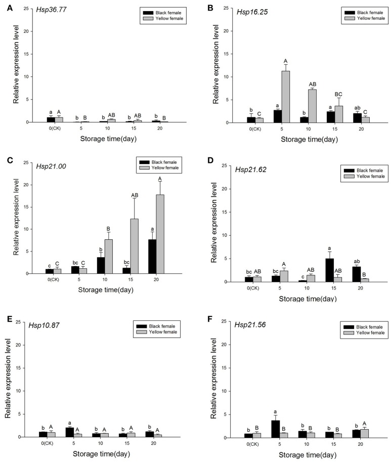 Figure 6