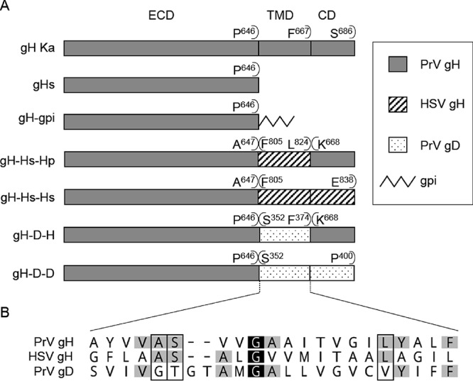 FIG 4