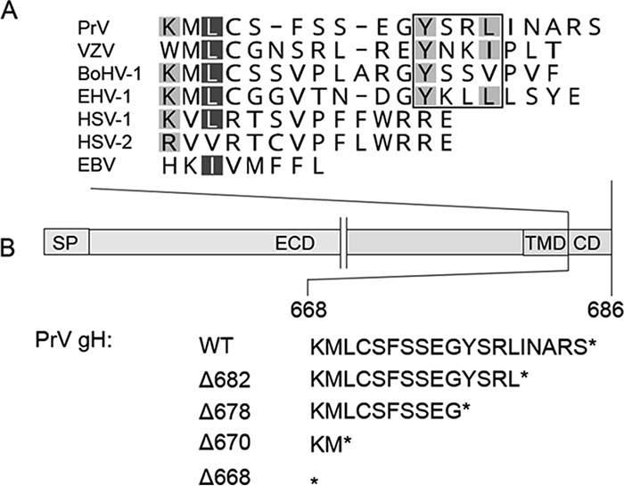 FIG 1