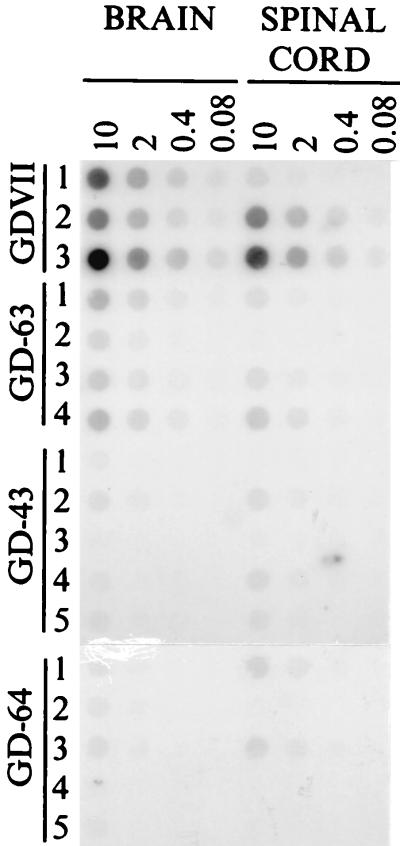 FIG. 5